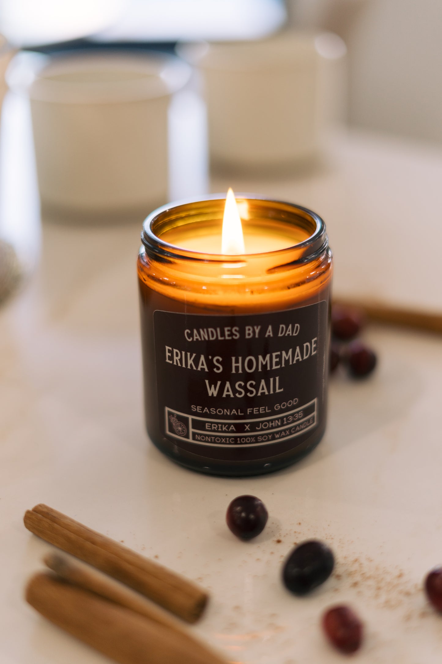 Erika's Homemade Wassail  | 7oz Nontoxic Candle